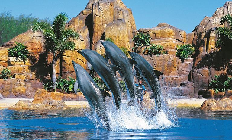 澳洲．海豚島樂遨遊9日(親子團)