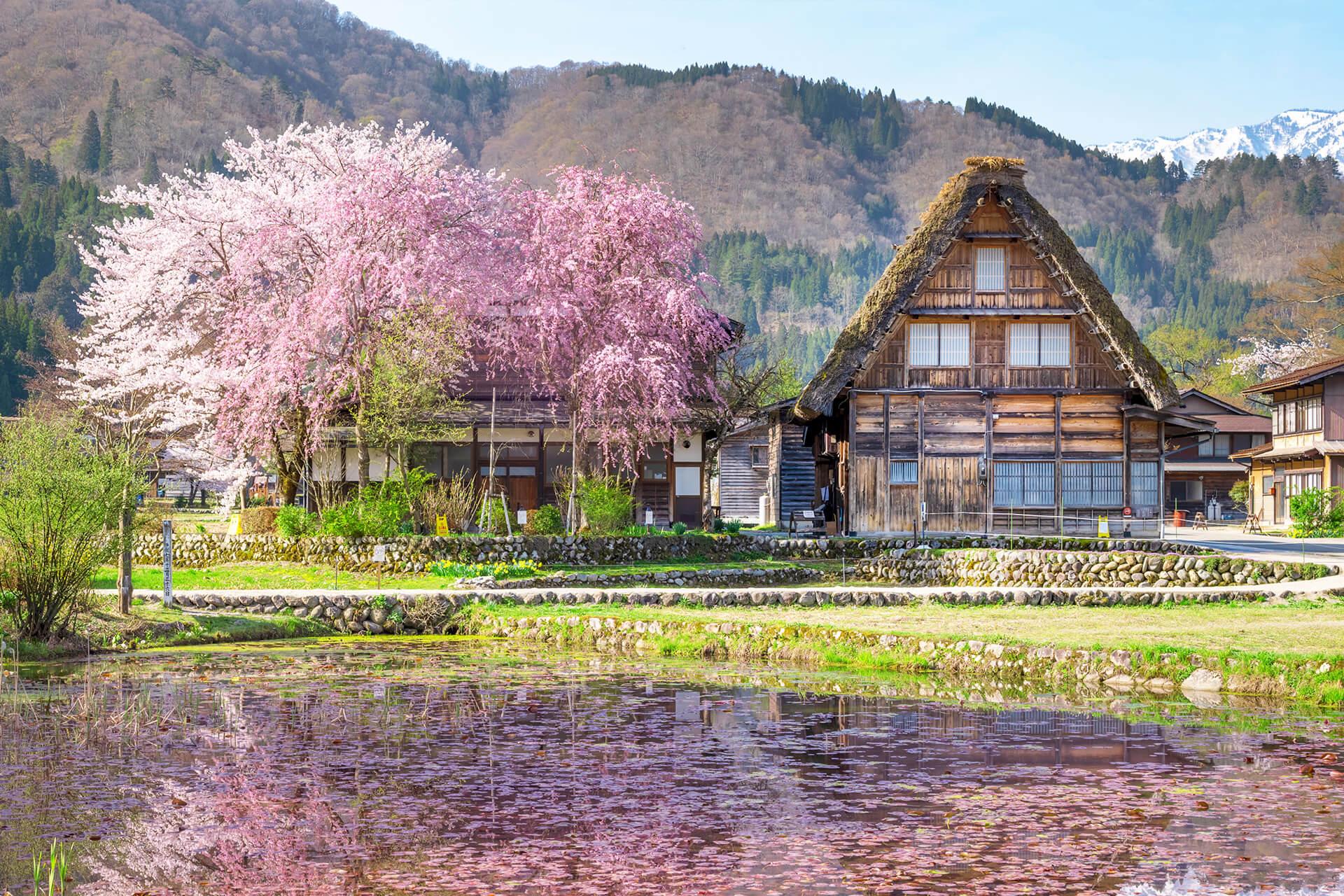 白川鄉合掌村