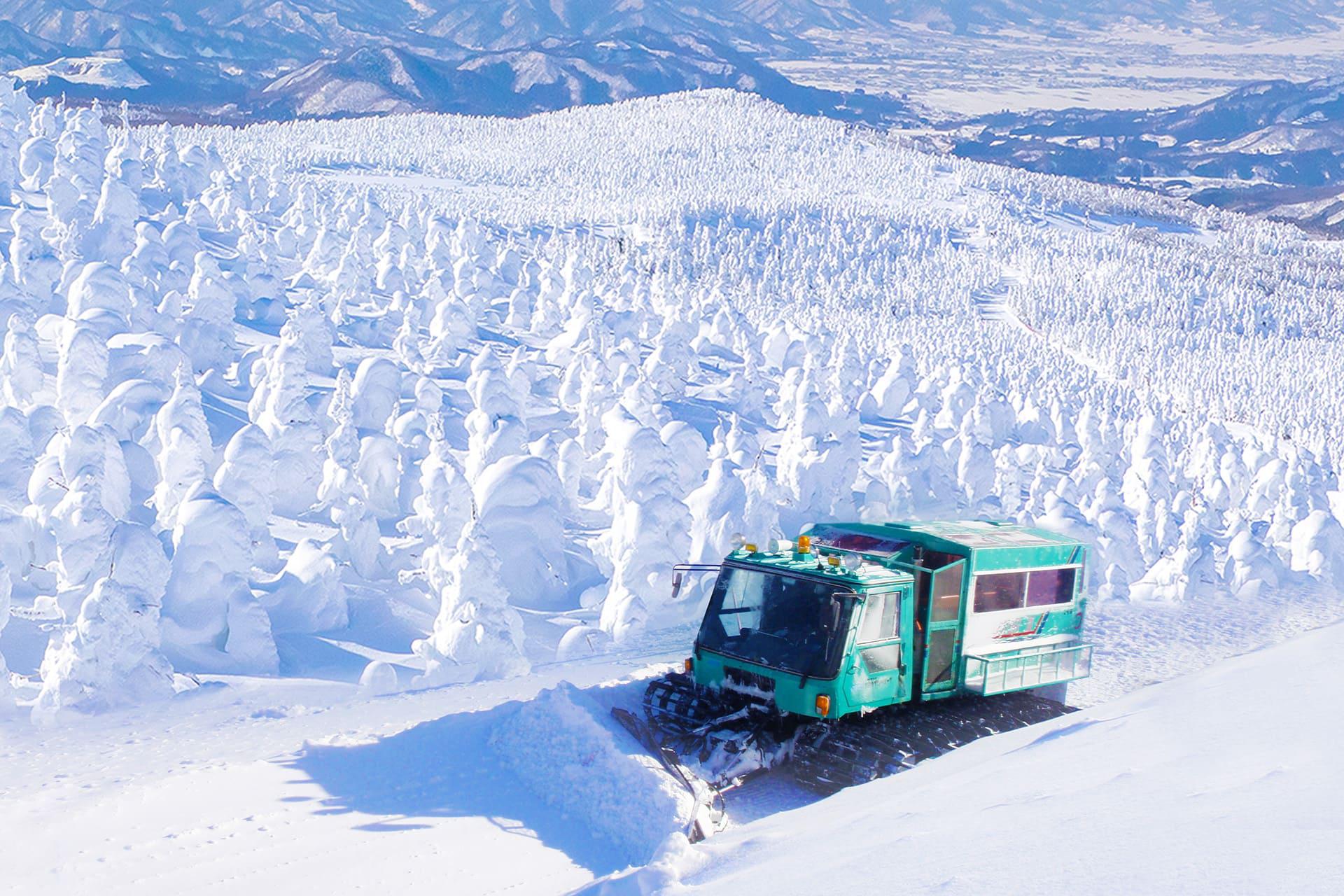 藏王樹冰雪怪號