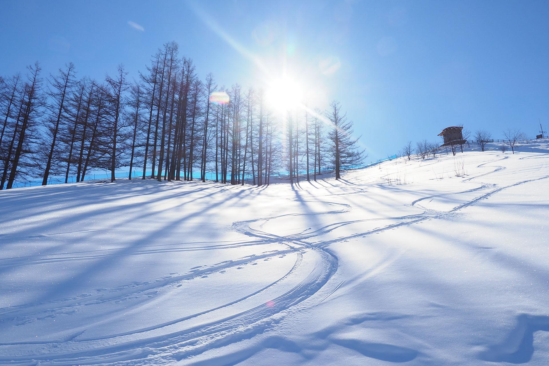 日本滑雪團旅行社推薦－加利利旅遊