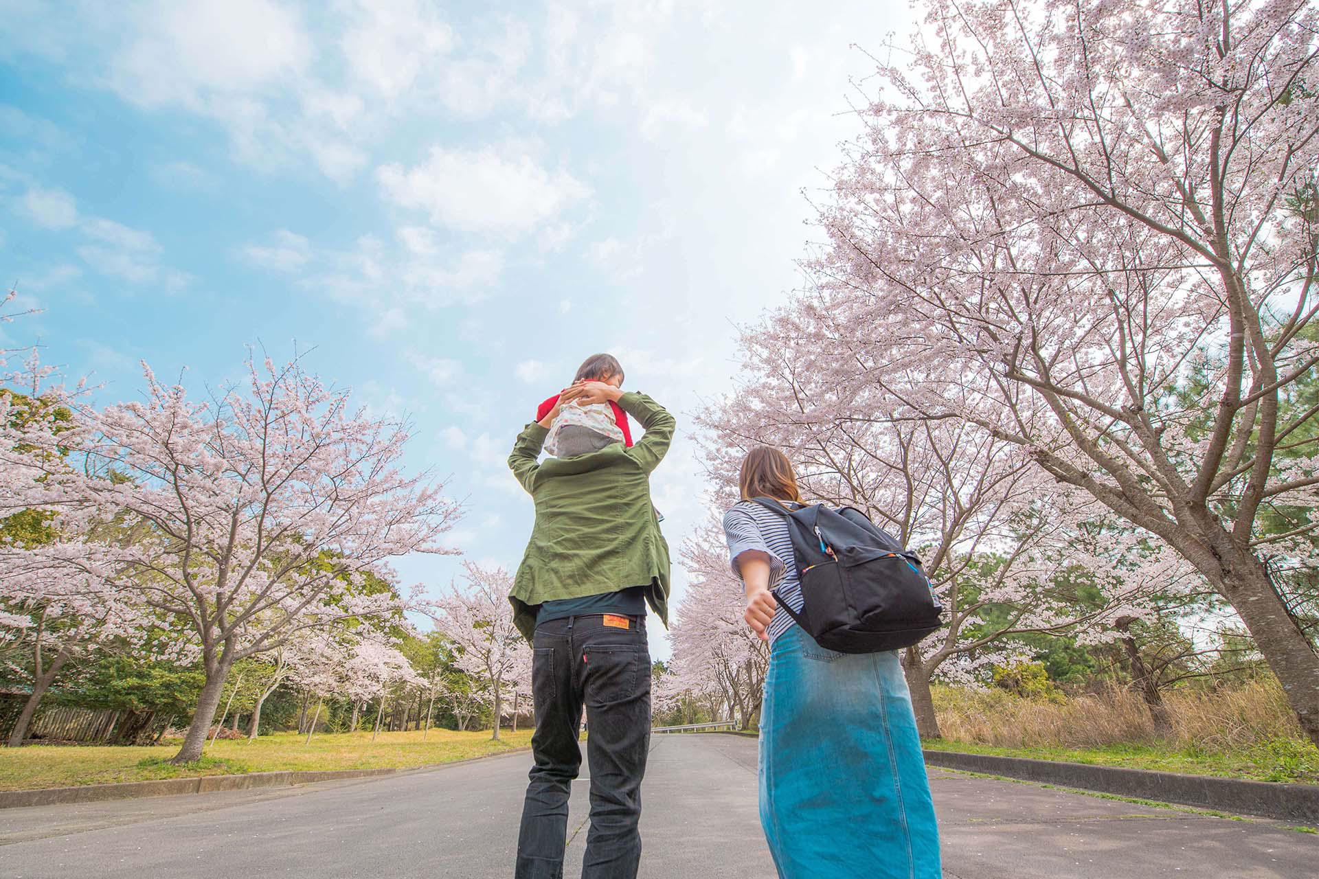 日本家庭旅遊示意圖
