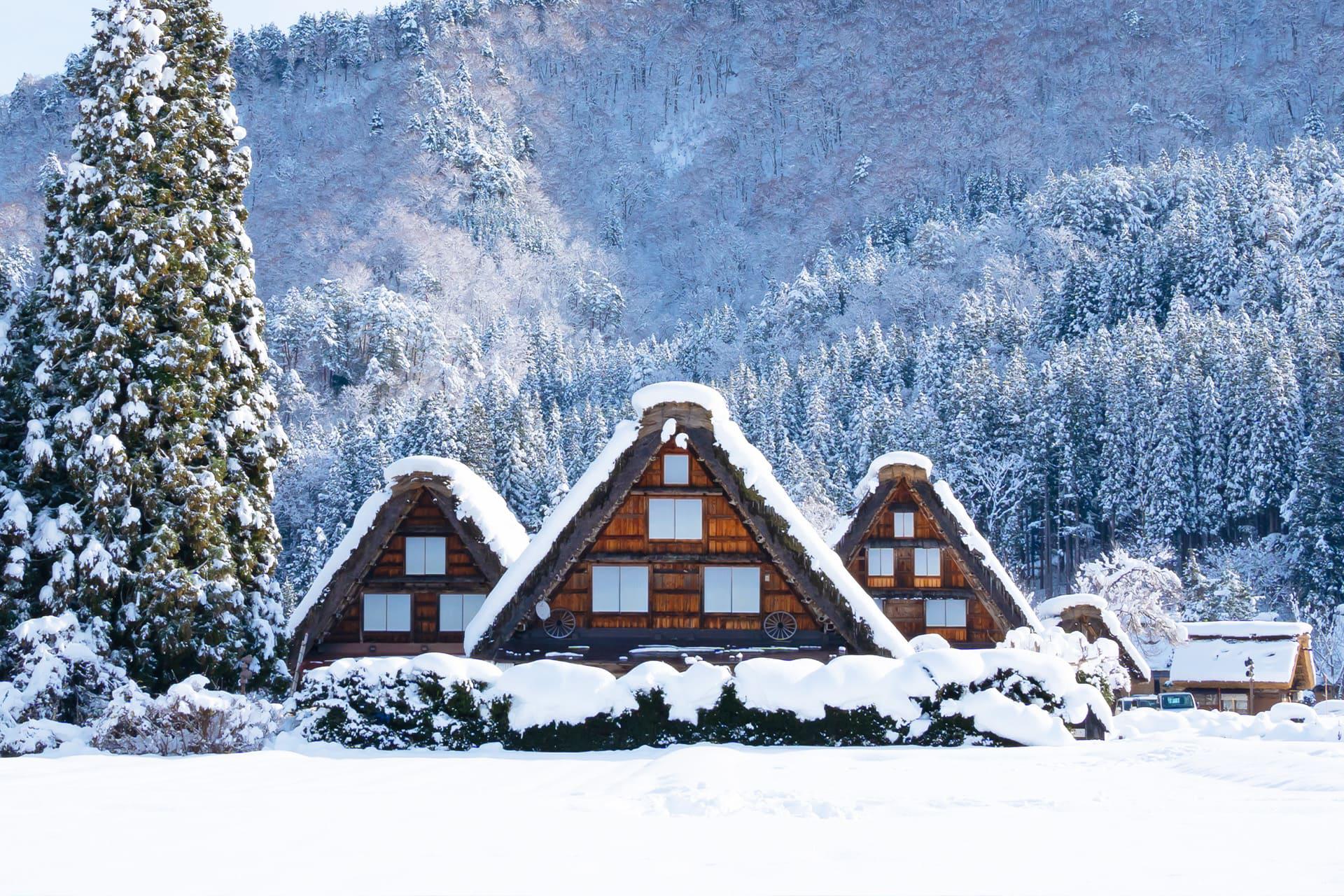 白川鄉合掌村白天雪景