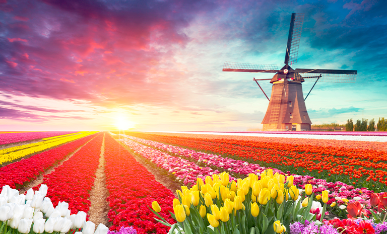 荷比盧.鬱金香花舞11日(荷蘭航空) - 庫肯霍夫春彩.童話羊角村.5星阿姆斯特丹