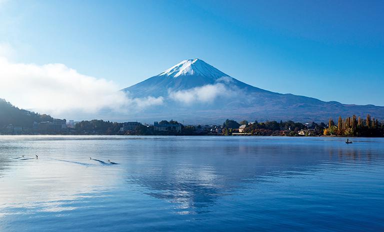 新利百加．關東5日 - 米其林高尾山．戀念河口湖．東京榮華都心