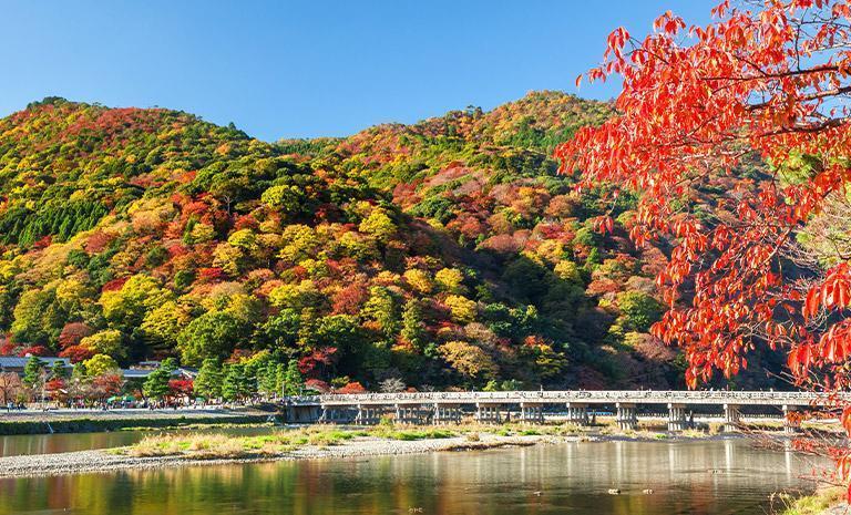 關西．楓幻平安京5日(秋季) - 東福寺茜影．秋苒三千院．嵐山金燦紅妝