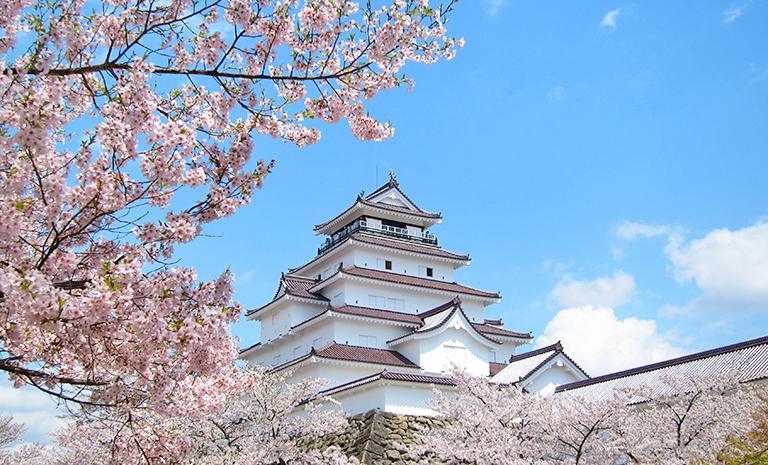 東北．櫻紛鶴之城7日(春季) - 常陸海濱花響．櫻流白石川堤．5星東京奢宿