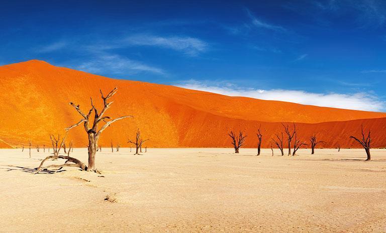 納米比亞．威風12日 - 狂野祕境遊獵．紅沙漠夕陽餘暉．海濱星宿連泊