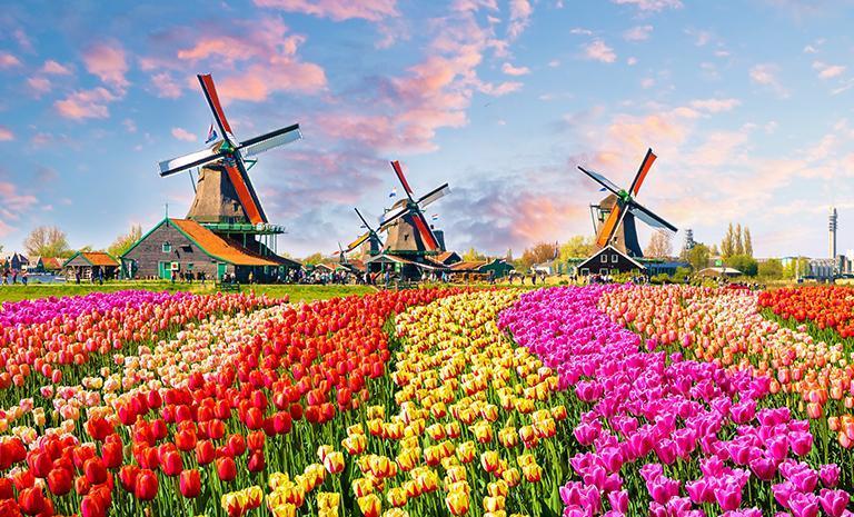 荷比法.鬱金香戀曲12日 - 花戀庫肯霍夫.瑰麗凡爾賽宮.巴黎夢寐連泊