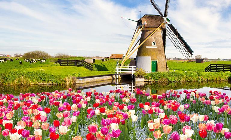 荷比盧.鬱金香春漾11日 - 庫肯霍夫花海.阿克馬起司市集.5星阿姆斯特丹